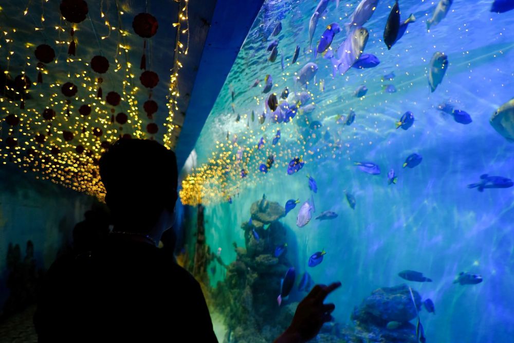 Museo di Oceanografia